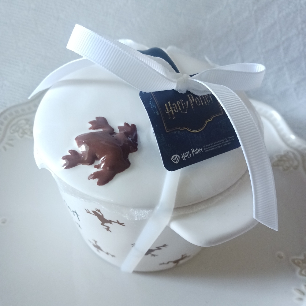 Rae Dunn × Harry Potter Wizarding World Chocolate Frog Bake Dish - Picture 2 of 15